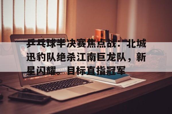 乒乓球半决赛焦点战：北城迅豹队绝杀江南巨龙队，新星闪耀。目标直指冠军的简单介绍